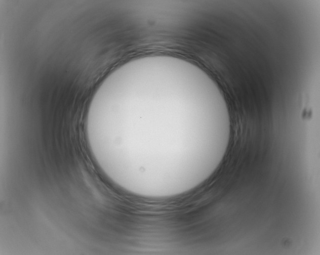 X0000113110316200908281024