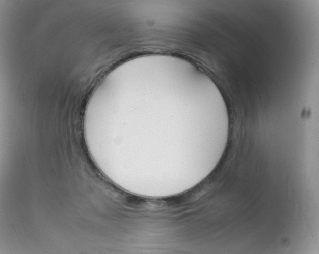 X0000113110317200908281024