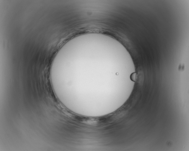 X0000113110318200908281024
