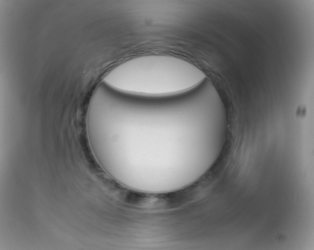 X0000113110319200908281024