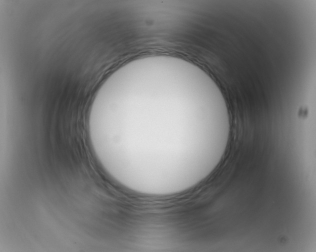 X0000113110320200908281024