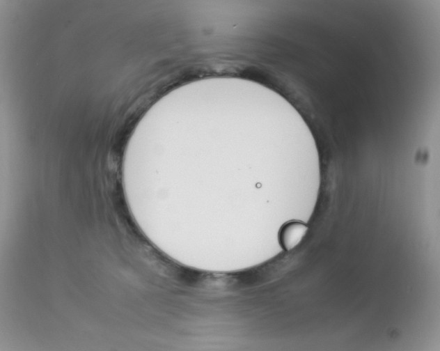 X0000113110321200908281024