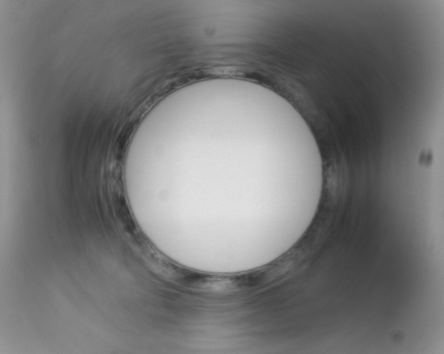 X0000113110322200908281024
