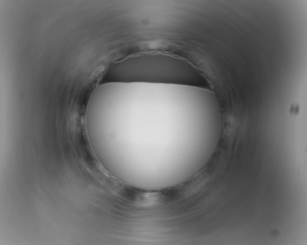 X0000113110324200908281024