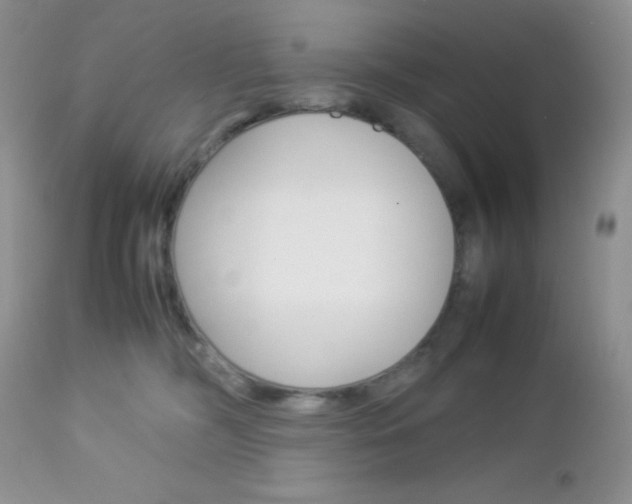 X0000113110326200908281024