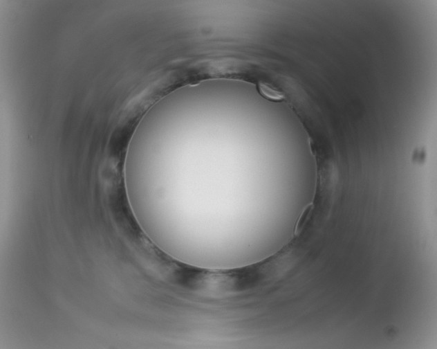 X0000113110327200908281024