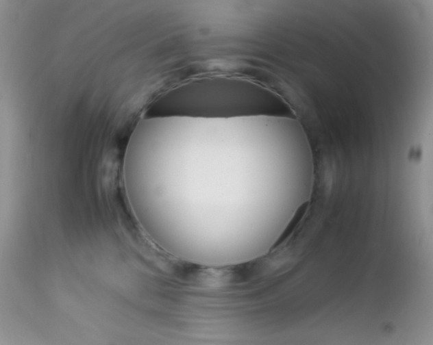 X0000113110328200908281024