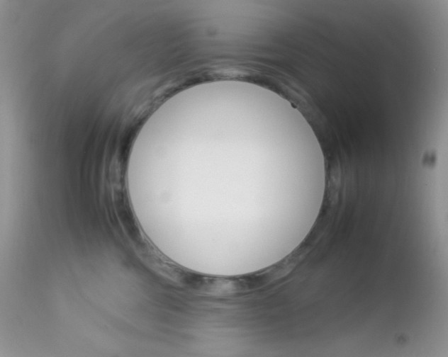 X0000113110330200908281024