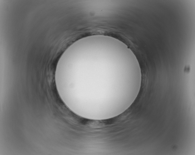X0000113110331200908281023