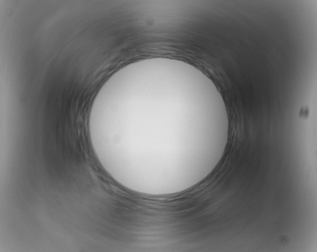 X0000113110332200908281023
