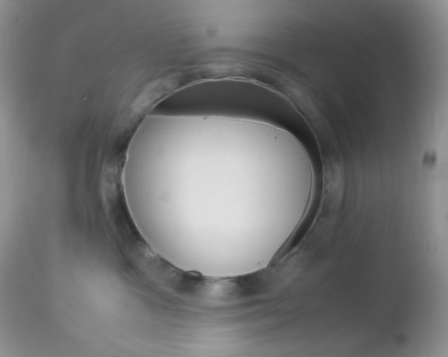 X0000113110333200908281023