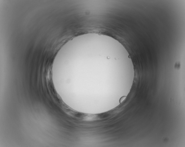 X0000113110334200908281023