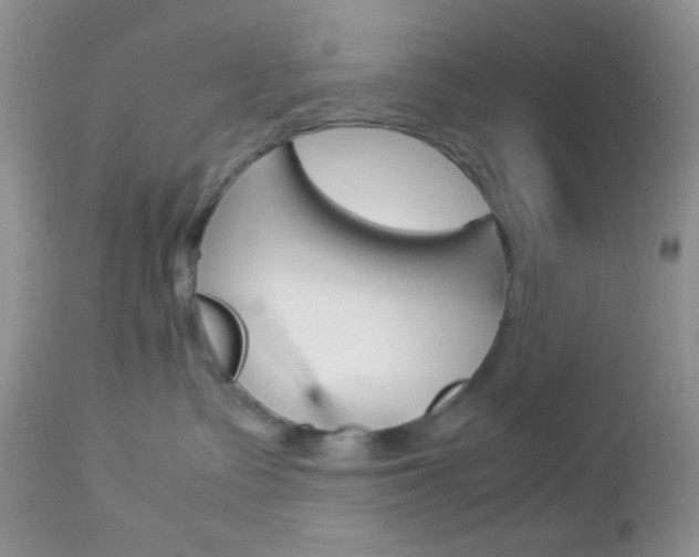 X0000113110335200908281023