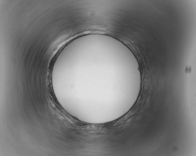 X0000113110338200908281023