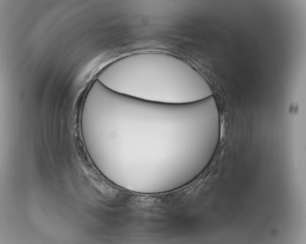 X0000113110339200908281023