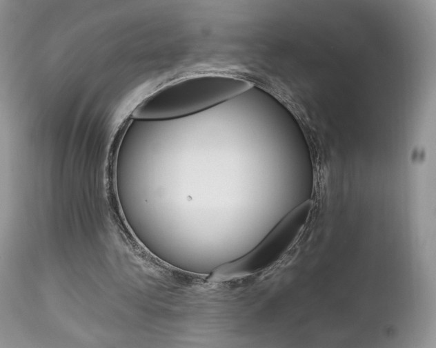 X0000113110340200908281023