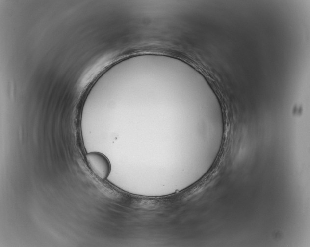 X0000113110341200908281023