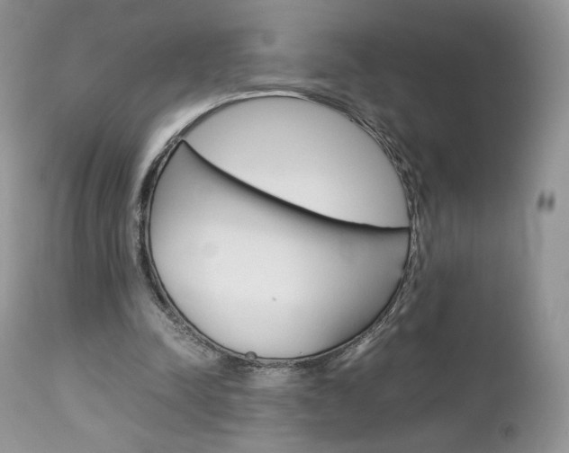 X0000113110342200908281023