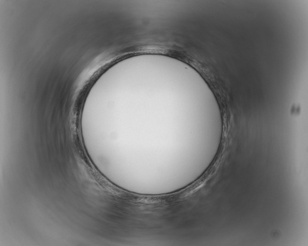 X0000113110343200908281023
