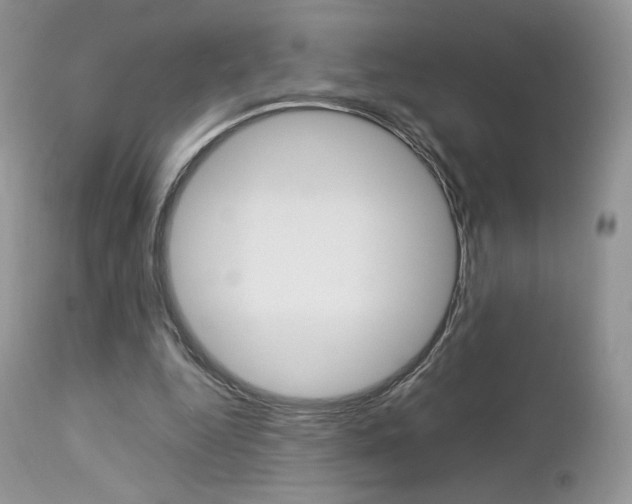 X0000113110344200908281023