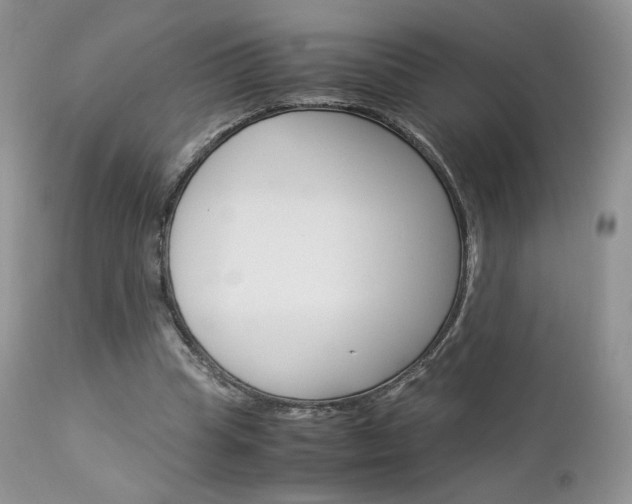 X0000113110345200908281023