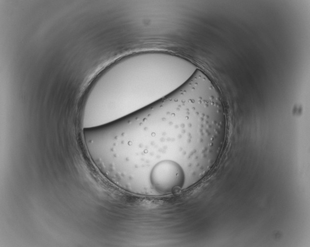 X0000113110346200908281023