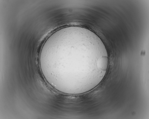 X0000113110347200908281023