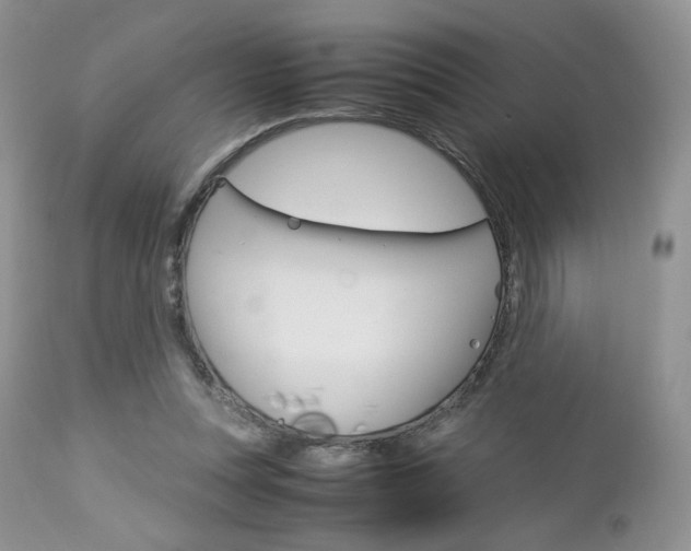 X0000113110351200908281023