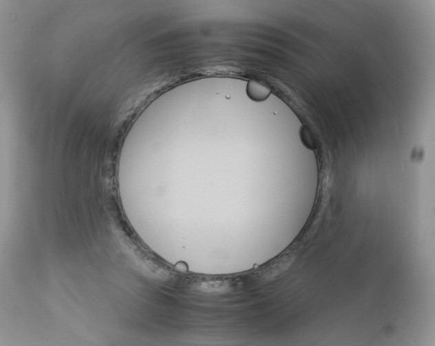 X0000113110353200908281023