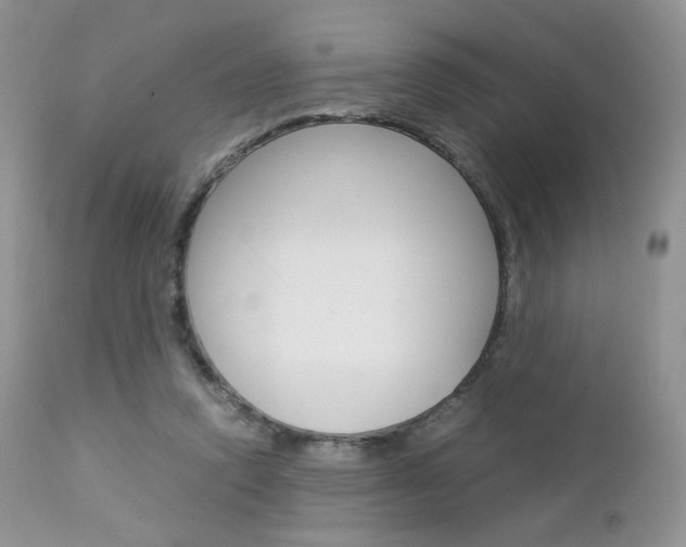 X0000113110354200908281023