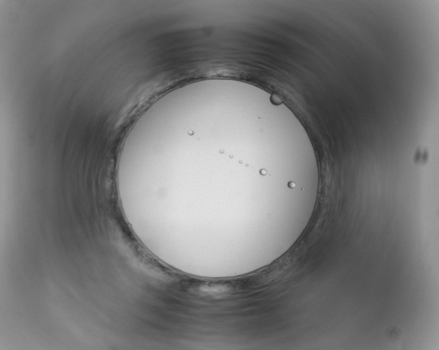 X0000113110357200908281023