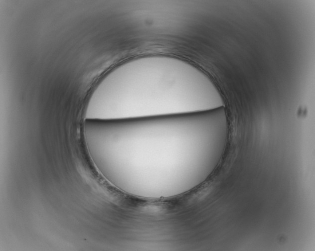 X0000113110358200908281023