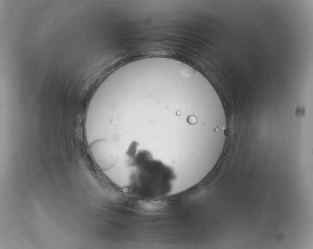 X0000113110359200908281023