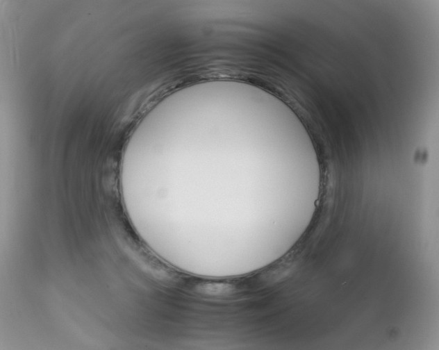 X0000113110361200908281023