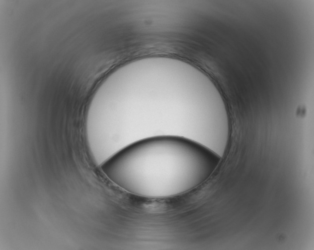X0000113110362200908281023