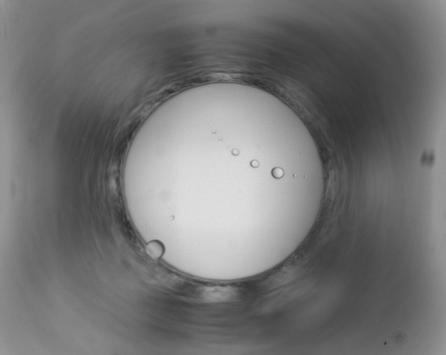 X0000113110363200908281023