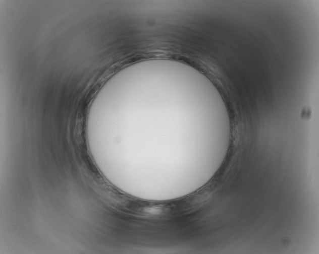 X0000113110365200908281023