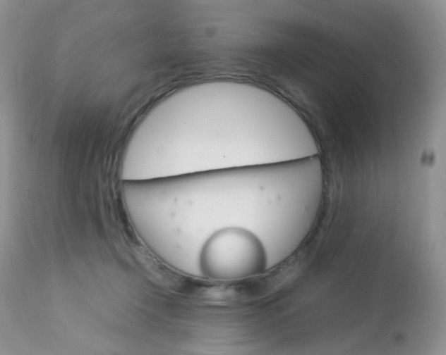 X0000113110366200908281023