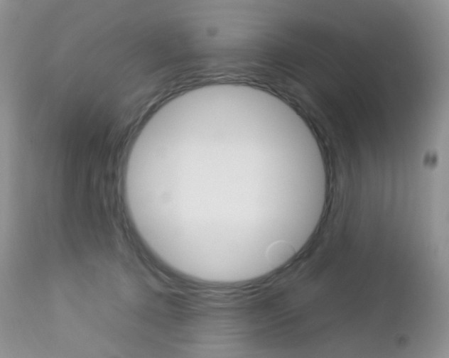 X0000113110368200908281023