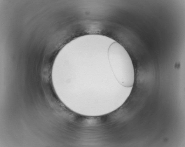 X0000113110370200908281023