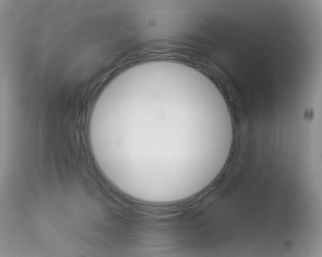 X0000113110372200908281023