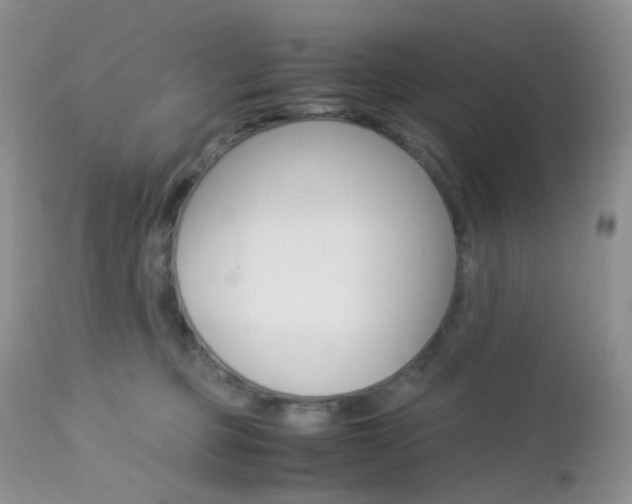 X0000113110373200908281023