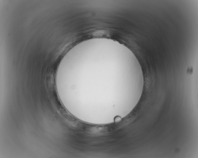 X0000113110375200908281023