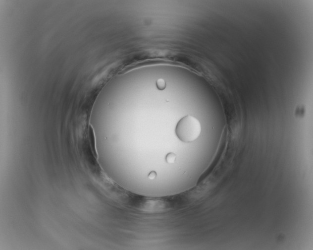 X0000113110376200908281023