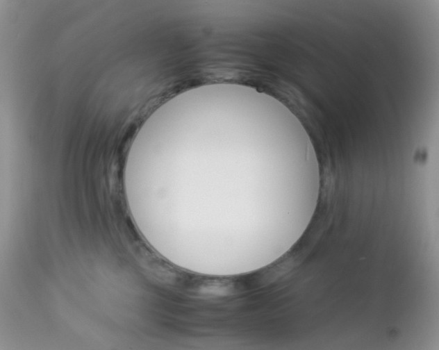 X0000113110377200908281023