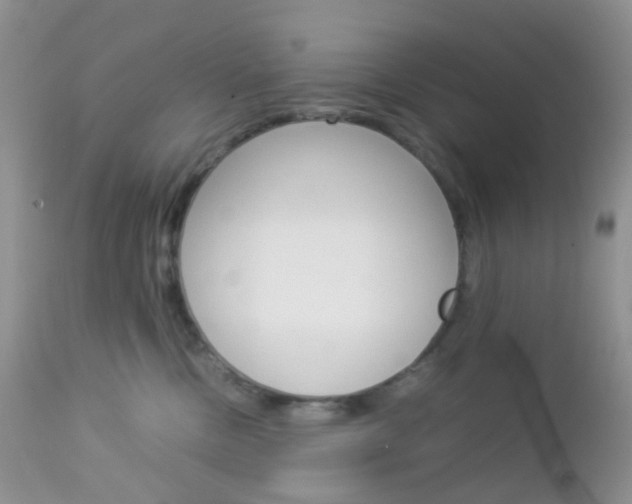X0000113110378200908281023