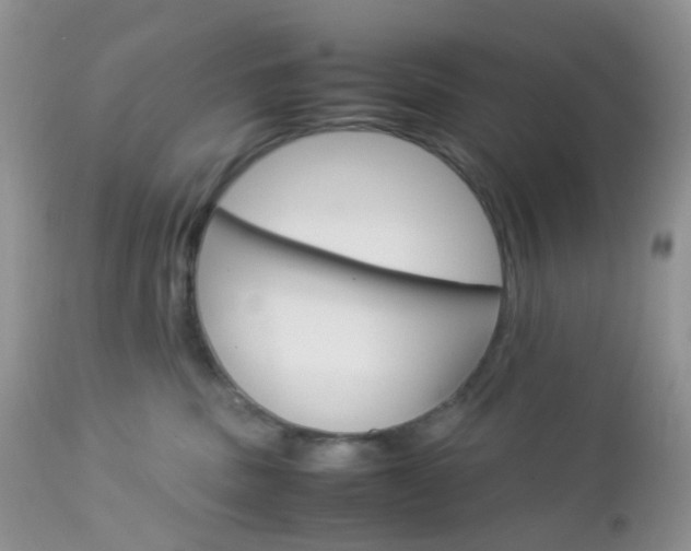 X0000113110379200908281023