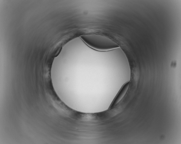 X0000113110380200908281023