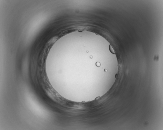 X0000113110381200908281023