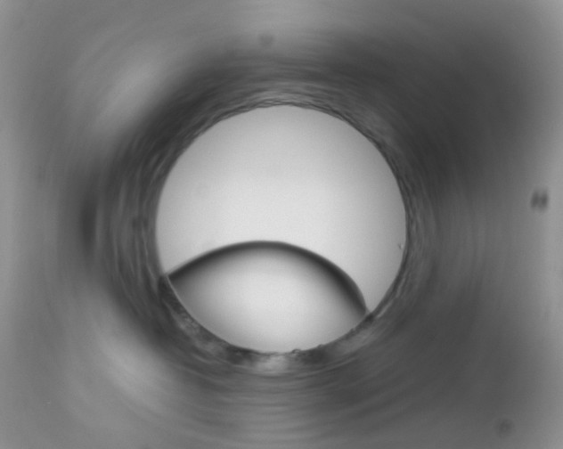 X0000113110382200908281023